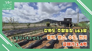 (거래완료)하점면 깔끔한 주말농장 / 농막, 비닐하우스, 수도, 전기 / 163평 / 생산관리 전 / 강화대교15분