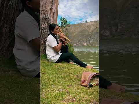 See You Again - Panflute #WizKhalifa #CharliePuth #flute #live #music #ecuador #greenlake #sad #soul