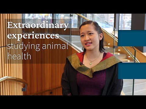 Studying animal health subjects | The University of Edinburgh