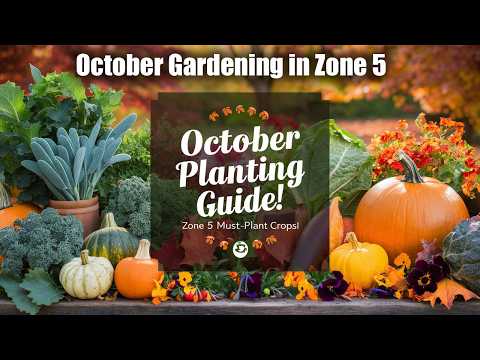 October Gardening in Zone 5: Best Vegetables, Herbs, and Flowers to Plant Now!