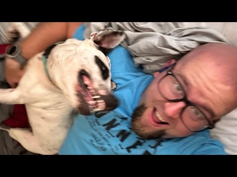 Fun pup video!