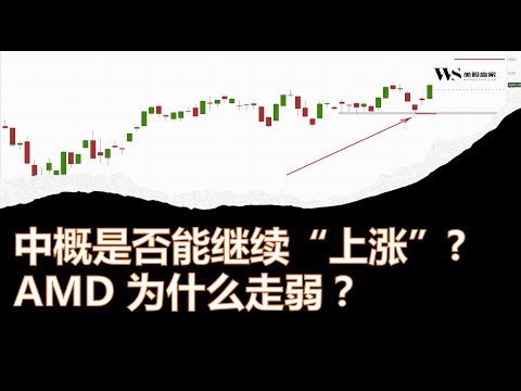 中概股集体上涨未来关注什么？美股$AAPL、$AMD、$SPX 点位分析