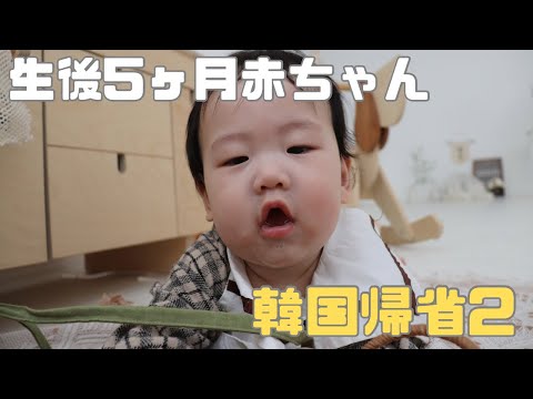 【生後5ヶ月】韓国帰省/ワンオペ子連れ飛行機