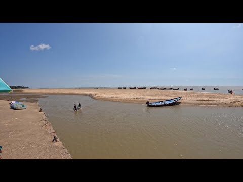 Talsari Beach 🏖Digha