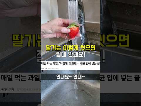 딸기의 단맛도 살리는 제대로된 세척 방법🍓 #과일씻기 #살림