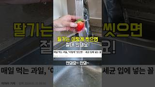 딸기의 단맛도 살리는 제대로된 세척 방법🍓 #과일씻기 #살림