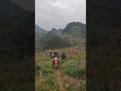 Fun single track in Ha Giang - Motorbike Tour Expert #motorbiketourexpert