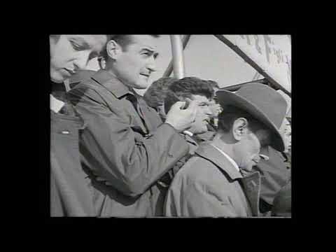 08/11/1959  juventus  3:1 fiorentina