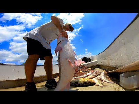 PESCA y COCINA en CASA EMBRUJADA, Pescando con redes, y caña de pesca, 24hs pescando, pesca urbana