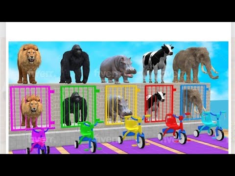 Paint and animals gorilla, Elephant, Duck Cartoon, Lion, Cow Fountain Crossing Wild Animals Game