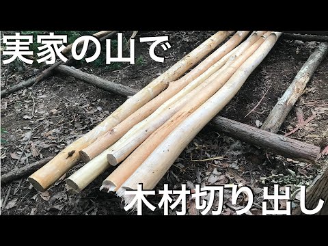 ウッドショックに動じない漢達の木材切り出し【山開拓】#15