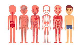 Introduction to Anatomy and Physiology