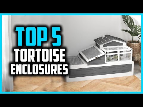 ✅Top 5 Best Tortoise Enclosures to Keep in 2025