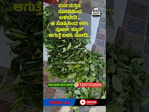 'ಸರ್ಪಸುತ್ತು' ಗೆ ಇಲ್ಲಿದೆ  ಬೆಸ್ಟ್ ನಾಟಿ ಔಷಧಿ | Sarpa Suthu | Heggadde Studio