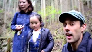 Hiking Yoshinoyama