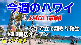 【今週のハワイ★１２月２２日最新版】１週間のハワイ情報をまとめてお届け♪これを見ればハワイの今がわかる！！