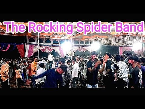 The Rocking Spider Band || New Timli Song 2024 #SanjayGavitVlog