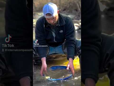 Test Panning For Placer Gold! Prospecting for Gold!