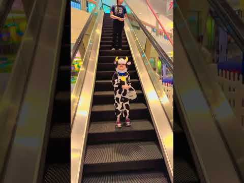 Cute little cow on #escalator🤪😂