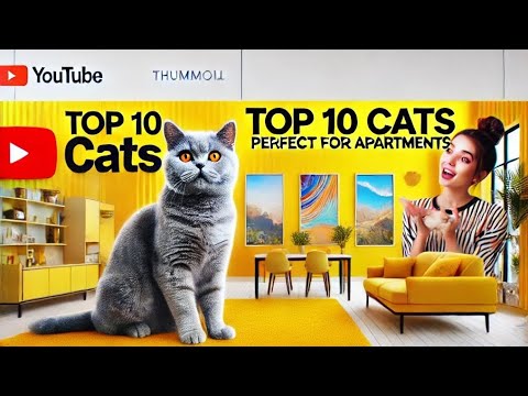 "Top 10 Cat Breeds Perfect for Apartment Living: The Ultimate Guide for Pet Lovers!"