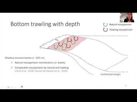 Benguela Upwelling System: Bottom trawling, sedimentological & biogeochemical impacts