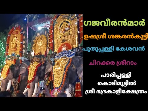 ഉഷശ്രീശങ്കരൻകുട്ടി | പുതുപ്പള്ളികേശവൻ | ചിറക്കരശ്രീറാം | ഗജരാജാക്കന്മാർ | കൊടിമൂട്ടിൽഭഗവതി ക്ഷേത്രം