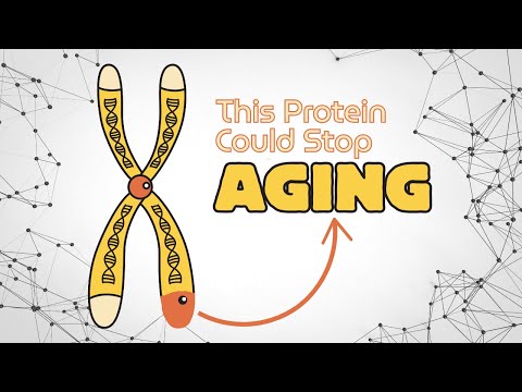 The Immortality Enzyme | Enzyme That Could Change How We Age Forever