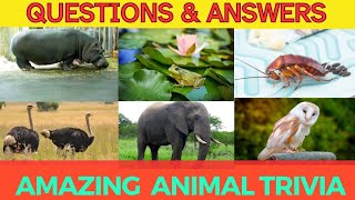 "Wildlife Trivia Challenge: Animal Quiz Questions And Answers" | Amazing Animals General Knowledge