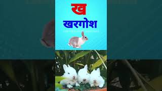 k se kabutar। a se anar। क से कबुतर। अ से अनार। phonics songs। अ आ इ कखगघ। abc, #viral #shorts