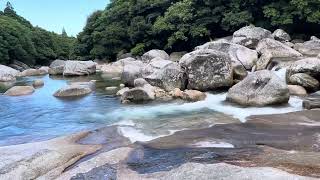 屋久島の透明な美しい川 beautiful clear river in Yakushima!