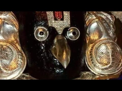 Srinivasa Govinda #garuda gamana tava #garuda #spiritual #namonarayana #namo