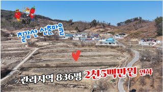 청양의 칠갑산 자락 천장호 아래 산촌마을 생산관리지역 863평 2천5백만원 인하한 8,600만원. 좋아요