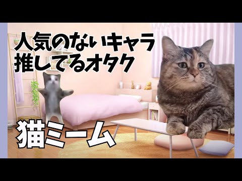 猫ミーム)推しキャラの人気がないオタクの日常丨30代の推し活