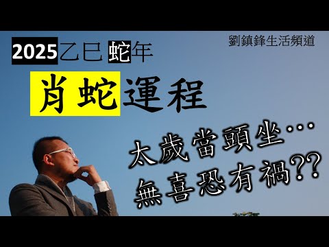 2025年肖蛇運程| 太歲當頭坐 無喜恐有禍 |坐太歲 值太歲 犯太歲|劉鎮鋒生活頻道