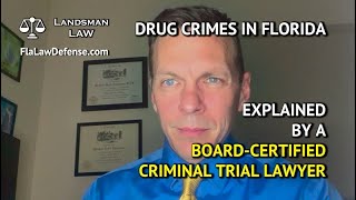 Florida Criminal Case   Drug Crimes Explained