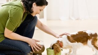 子犬の飼い方と育て方