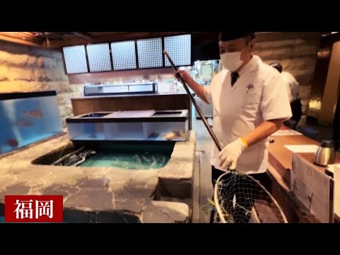 Japanese sushi restaurant with delicious squid, mackerel and scorpion fish