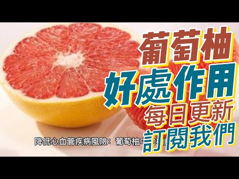 EP161 葡萄柚（Grapefruit）益處和作用 富含維生素C 促進新陳代謝 抗發炎作用 健康