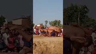 Desi Dangal short video