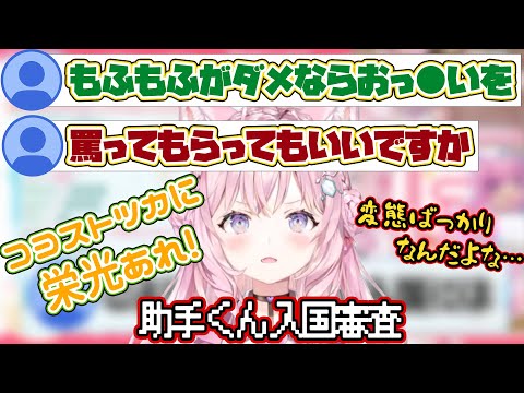 こより審査官を突破せよ！助手くんたちの「コヨストツカ入国審査」【博衣こより/切り抜き/ホロライブ/6期生/holoX】