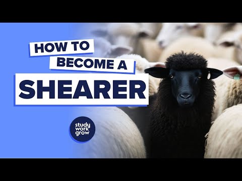 How to become a Shearer