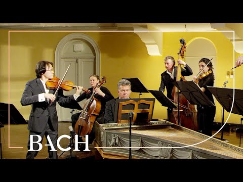 Bach - Allegro from Violin concerto in E major BWV 1042 - Sato | Netherlands Bach Society