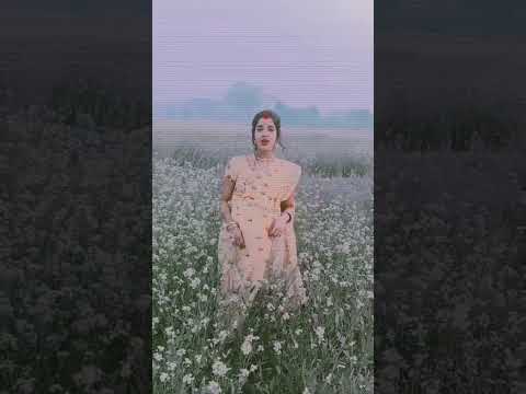 o Amar Sona #bengali_whatsapp_status #instagram_story_status #youtubeshortvideo #like_