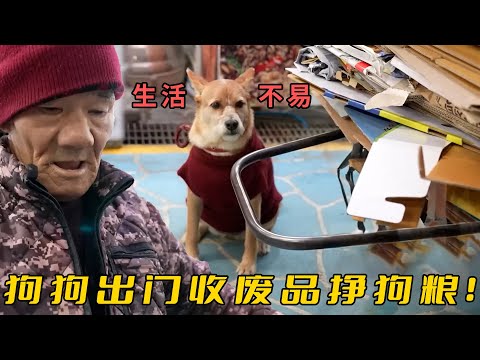 狗不嫌家貧！小狗每天陪陌生大爺收廢品，毛髮髒亂卻超級自豪