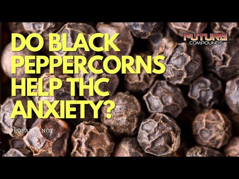 Do Black Peppercorns Help THC ANXIETY?