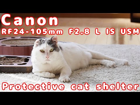 [RF24-105mm F2.8 L IS USM Z] Japanese protective cat shelter