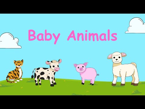 Baby Animal Names #babyanimals #viralvideo #kidssong #rhymes #youtubekids #kidscartoon #kidsmusic