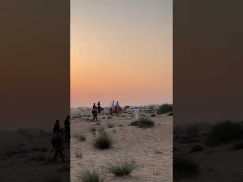 Desert Safari in Dubai 🎥