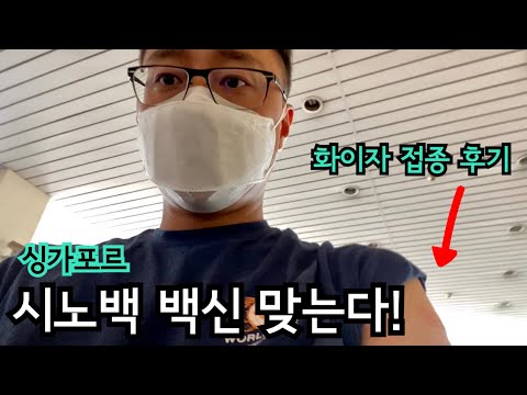 싱가포르 시노백 백신 맞는다 | 화이자 백신 후기 | 이민생활