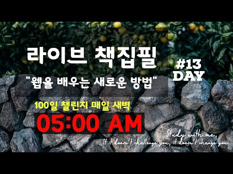 라이브 책집필 (13일차) | 100일 챌린지 | 미라클모닝 | 웹을 배우는 새로운 방법 | Live | Early morning study with me | Writing